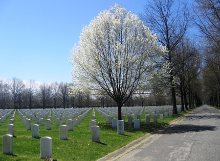 Burial area at Beverly National Cemetery.