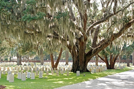 Burial area at Beaufort National Cemetery.