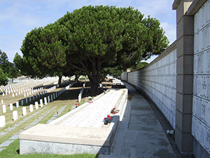 Fort Rosecrans National Cemetery provided interment space for cremains by constructing columbaria walls and in-ground niches beginning in 2002; when the final niche was claimed in May 2014.