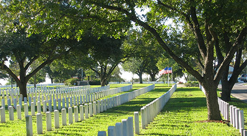 Headstones of interred Veterans are framed by trees in the landscape at Fort Sam Houston National Cemetery in San Antonio, Texas.